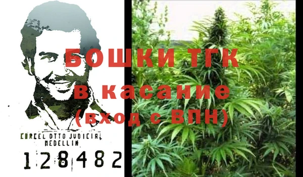 индика Алексеевка