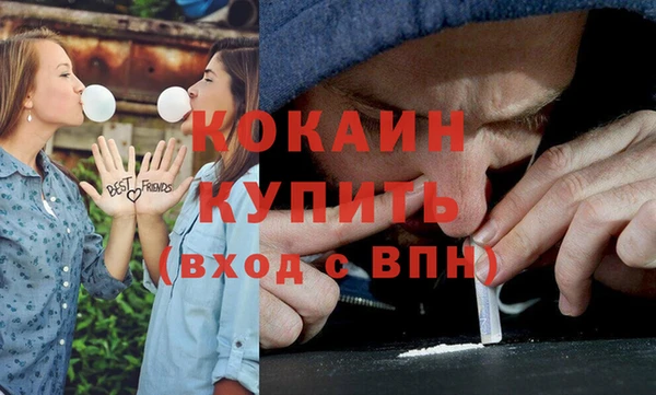 индика Алексеевка