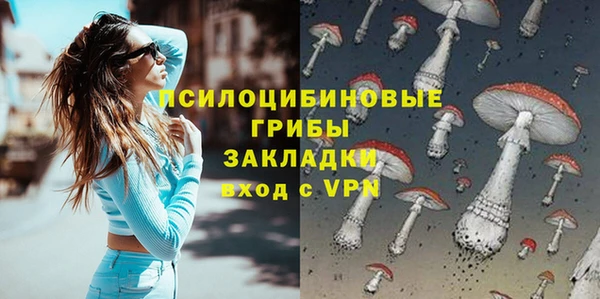 индика Алексеевка