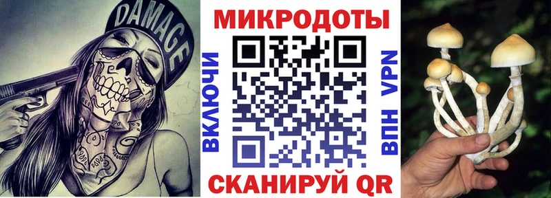 Псилоцибиновые грибы прущие грибы  Тулун 